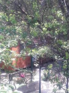 Cottage - 20