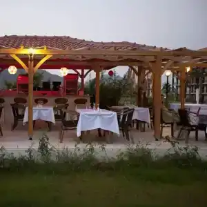 Yonca - 17