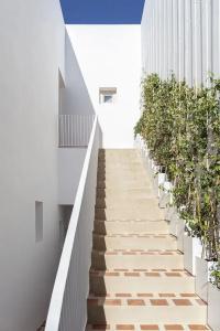 Ethos Vegan Suites - 24