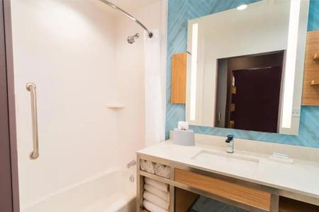 Hilton Garden Inn Cedar Park Austin - 77