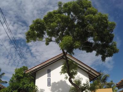 My Hostels - 13