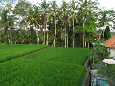 Kubu Bali Baik Villa & - 17