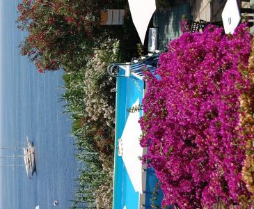 Villaggio Residence Nettuno - 46