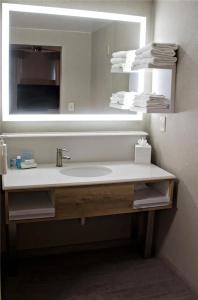 Hampton Inn & Suites Denver-Speer Boulevard - 72