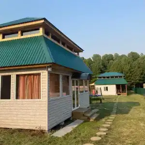 Кедр - 0
