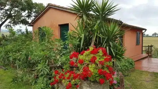 Il Giogo Agriturismo - 32