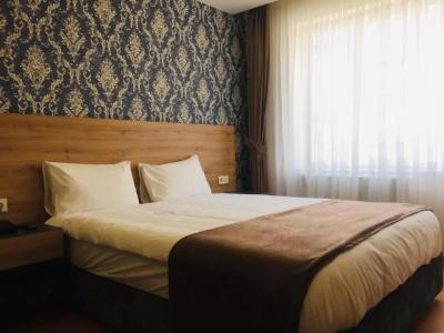 Van Diana Otel - 58