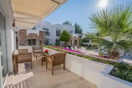 Costa Sariyaz - 35