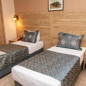 Portakal Dalyan - 15