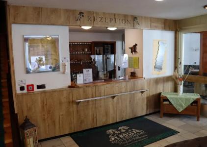 Schwarzes Ross & Restaurant Oberwiesenthal - 13