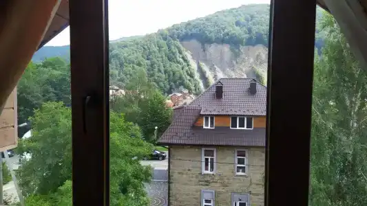 Шафран - 9
