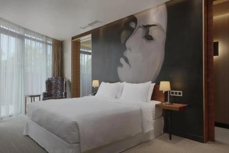 Four Points by Sheraton Kecskemet & Conference Center - 48