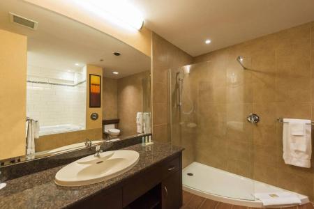 Quality Inn & Suites - 9