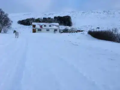 Öndólfsstaðir Farm B&B - 17