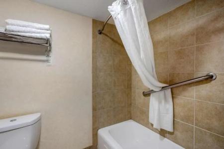 Best Western Inn of the Ozarks - 46