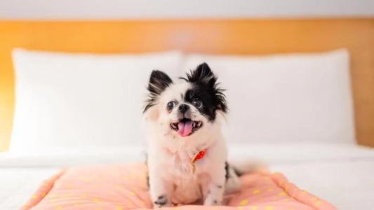 ibis Bengaluru Hosur Road - An Accor Brand - 40