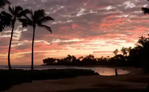 The Kahala and Resort - No Resort Fee - 15