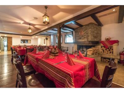 Lion Borovets - 24