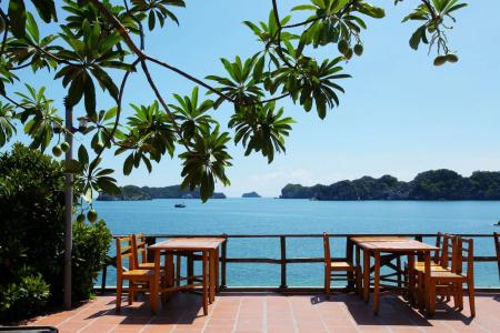 Monkey Island Resort - 20
