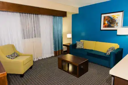Holiday Inn Houston Downtown, An Ihg - 86