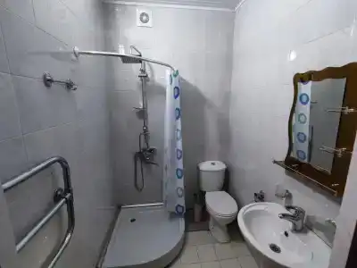 Белый лебедь - 9