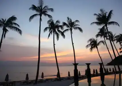 Mai Samui Beach Resort & Spa - Sha Plus - 35