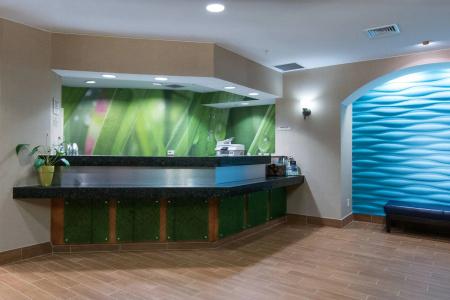 SpringHill Suites by Marriott - 1