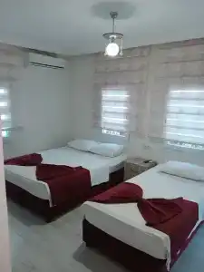 denizyıldızı - 18