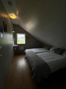 Sauðanes - 40