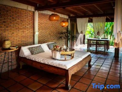 Paradise Island - 145