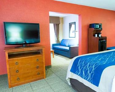 Comfort Inn Civic Center - 62