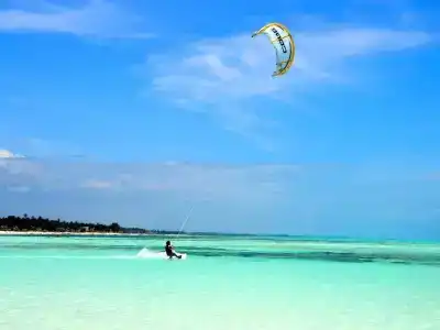 Nest Style Beach Zanzibar - 22