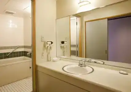 Yamatoya Honten Ryokan Osaka - 15
