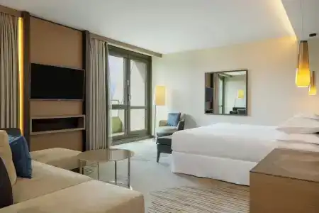Sheraton Grand Tbilisi Metechi Palace - 57