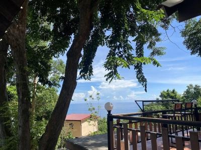 Majestic Sea View Koh Tao - 48