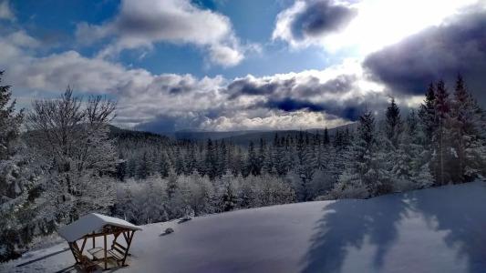 & Pension Traumblick - 34