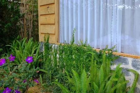 Zen Valley Dalat - 260