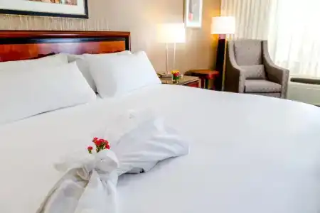 DoubleTree by Hilton Las Vegas Airport - 48