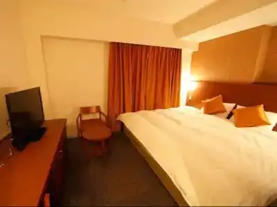 Dormy Inn Premium Wakayama Natural Hot Spring - 36