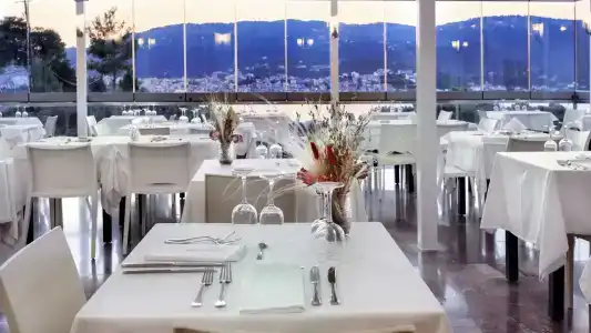 Punta - 17