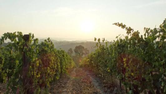 Agriturismo Montegonfoli - 59