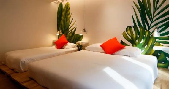 Tropical Summer Hostel - 57