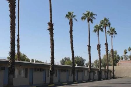 Indio Holiday - 15