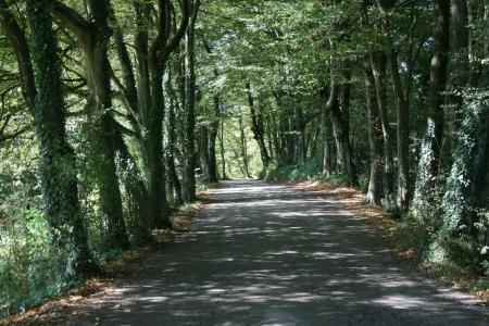 San Liberale - Suites & Wellness - 11