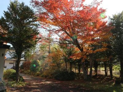 Pension Eden - 18