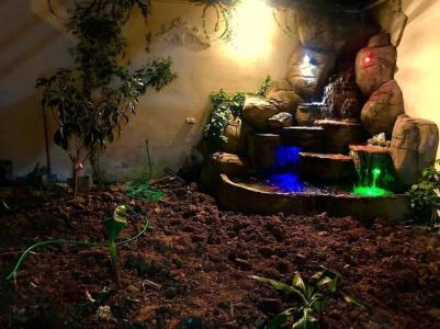 ÖZ Butik Otel Antik Kent Myrleia - 14