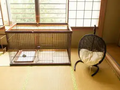 Kurofune - 12