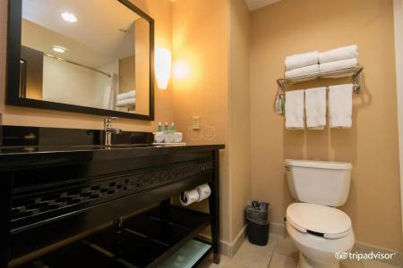 Comfort Inn & Suites Dallas Medical-Market Center - 7