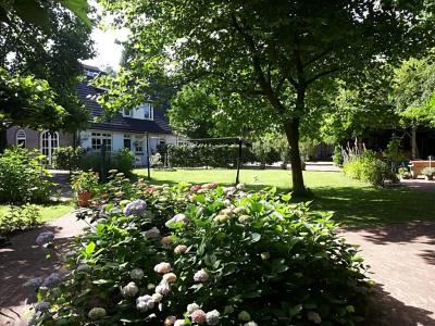 B&B Stadsoase Nijmegen - 7