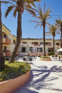 Thb Guya Playa - 8